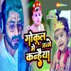 About Gokul Mein Janme Kanhaiya Song